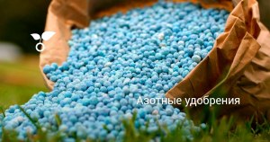 Как решить: на КАО "Азот" 999 мешков с удобрениями выставлены в ряд (см)?
