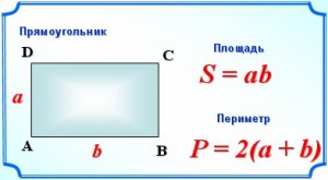 Как начертить прямоугольник с периметром 62 см на поле (расчерчено 2×5 см)?