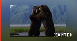 Мы с Аляски или мы из Аляски? Как правильно? Почему?