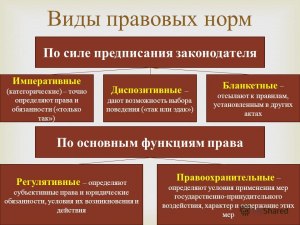 ОГЭ Обществознание, Какие суждения о нормах права являются верными?
