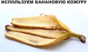 Почему банановая шкурка отлично скользит?