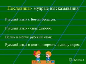 Какие есть пословицы про язык?