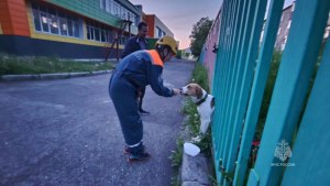 Как решить: Собака погналась за лисицей, которая была в 30 метрах от неё?