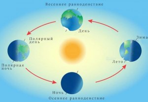 Как решить задачу: Солнце вращается вокруг своей оси столько суток (см)?