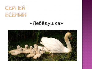 Какие синонимы к слову "упрямиться" из литературной лексики?