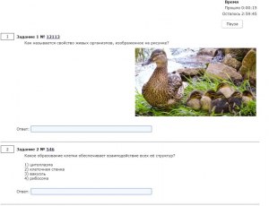ОГЭ Биология Как ответить на вопросы по тексту о жизненных формах животных?