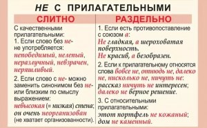 Преобразования (не)обходимы, планы (не)осуществимы. Как писать? Почему?