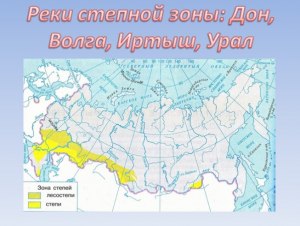 Какой субъект России расположен за пределами степной полосы?
