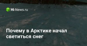 С чем связаны сезонные откочёвки стрижей?