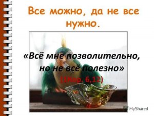 Всё можно, но не всё полезно — какие привести примеры?