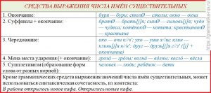 Есть ли у существительного "Транспорт" множ. число?