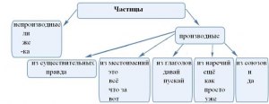 Какие бывают частицы в русском языке?