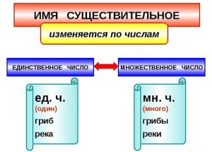 "Консервы"- есть ли у этого существительного единственное число?
