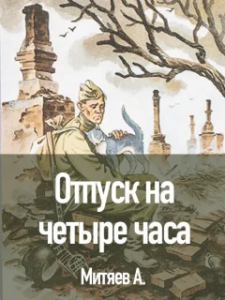 Митяев "Отпуск на четыре часа", план как составить?