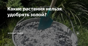 Какое вещество получали шумеры, смешивая воду с древесной золой?