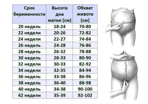 Сколько раз за эти две недели Катя завтракала яичницей (см)?