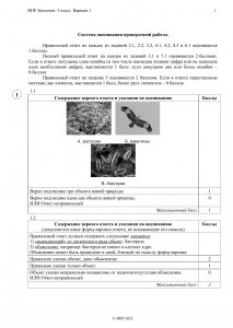 ВПР по биологии, как выбрать правильные утверждения о рыбах?