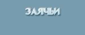 Заячьи или заичьи, как правильно? Почему?