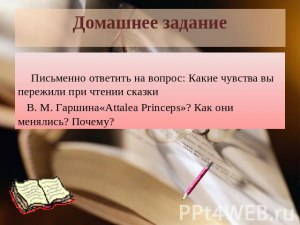 Гаршина "Attalia Princeps", отзыв как написать? Какая тема? Чему учит?