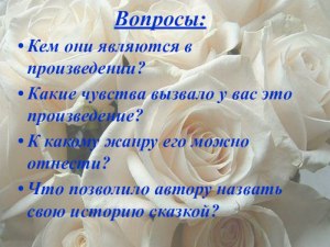 Гаршин "Attalia Princeps", какие вопросы задать по сказке?
