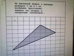 На клетчатой бумаге Петя нарисовал линии. Какая линия самая длинная?
