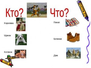 Кто и что такое ерник?