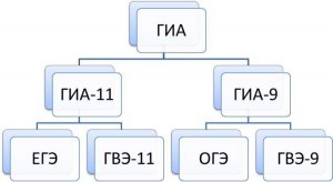 Что входит в обязанности ассистента на ГВЭ и для чего он нужен?