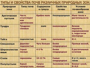 Как кратко рассказать о закономерности в размещении почв?