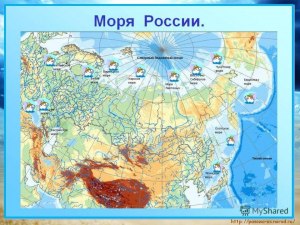 Воды каких двух морей омывают материк Евразия: Росса, Балтийское, Аравийск?