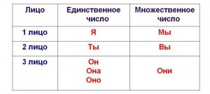 Как определить лицо, число и падеж местоимений в тексте?