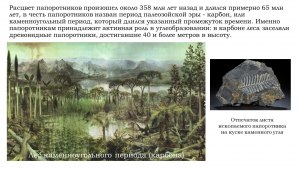 Какой период палеозойской эры был выделен в Предуральском краевом прогибе?