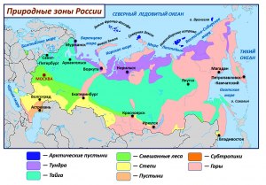 Какая природная зона на территории России НЕ представлена: степей, тундр?
