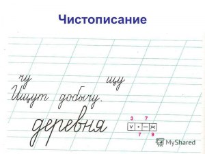 Веснушч..тый, клетч..тый — какие буквы пропущены, правило?