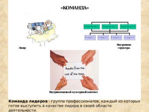 Откуда у профессионалов в своей деятельности столько хамства(см. ниже)?