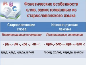 Сколько в Конституции РФ слов, заимствованных из других языков?