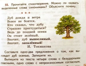 Рус. яз. ВСОШ 7-8кл. Как записать устойчивое сочетание из трёх компонентов?