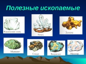 Какие полезные ископаемые образованы благодаря деят-ти живых организмов?
