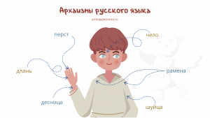 Как сгруппировать слова: архаизмы, историзмы, диалектизмы?
