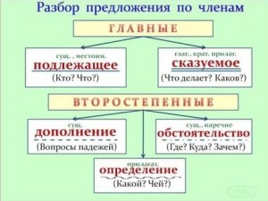 Какие предложения можно составить со словами "Всю плешь проел(а,и)"?
