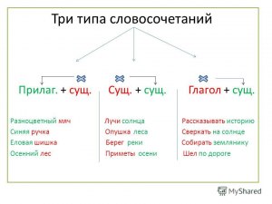 Какие словосочетания из двух существительных составить со словом "суша"?
