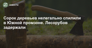 Задача. Сколько деревьев спилила бригада лесорубов за 5 смен?