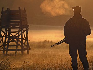 Задача. Сколько было всего стрелков. Наилучших, Лучших и Хороших стрелков?