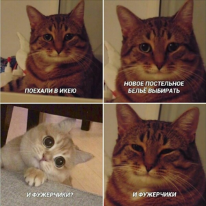Котёнок помочился где-то в комнате - что делать?