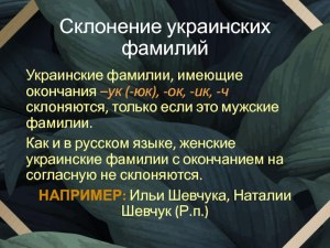 Как склоняется фамилия Палаш?