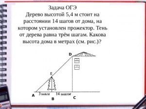 Задача ОГЭ. Какой вес от оставшегося торта принёс медвежонок поросёнку?
