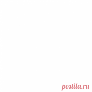 Как нужно правильно говорить и писать: "бородист" или "бородач"? И почему?