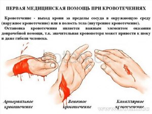 Какие органы при шоке получают наибольшее количество крови?