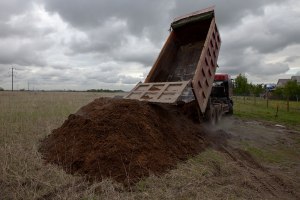 Навоз коровий. Как приучить корову не валить в подъезде и у дома(см)?